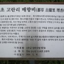 일오삼민박 이미지