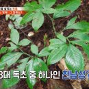 코리아헌터 이미지