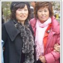 투나 이미지