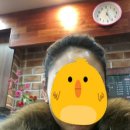라베르헤어 이미지
