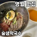 영월 맛집 술샘막국수 내돈내산 후기