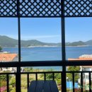 까치와 산토리나 이미지