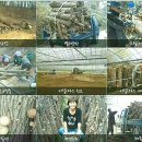 강순용명품버섯사랑 이미지