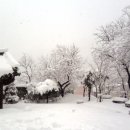 도계읍사무소 이미지