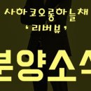 신평동386 네이버블로그