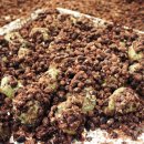 내일재래시장 이미지