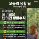 ❒8월 8일 월요일 HeadlineNews❒ 이미지