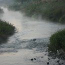 수영강 동천교 이미지