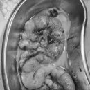 금샘동물병원 이미지