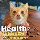 브라운동물병원 이미지