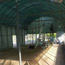 보아농장 이미지