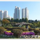 이금옥 Daum카페