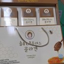 엘림플러스