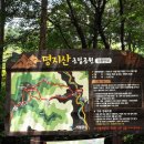 가평스마일 이미지