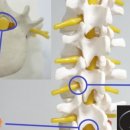 터미널마취통증의학과의원 이미지