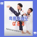 흑룡태권도장 이미지