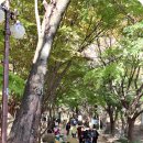 갓바위 소원성취길 이미지