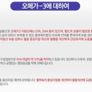 오리진코리아