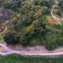 황새울4길 이미지