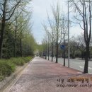 팥사랑칼국수 이미지