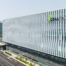 코스테이 이미지