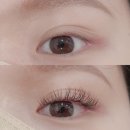 뷰티인누에보 | 강남구청 속눈썹연장 추천! <다온뷰티> 솔직 리뷰