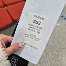 유성구청민원실 | 대전 서구청 여권발급 후기｜준비물·수수료·소요기간 한눈에 정리✨️