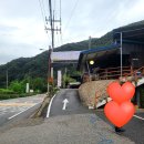 할머니손두부 | 포천 순두부 맛집 [할머니 손두부] 오래된 단골집 내 돈 내산 후기