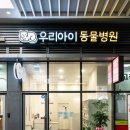 우리아이동물병원 이미지