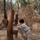 연암공원 유아숲체험원 이미지