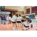 카페다비나 | 뜨거운 여름도 애정하게 되는