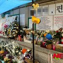 중앙태권도장 이미지