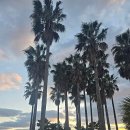 중문대포주상절리대 이미지