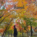 양재어린이공원 | 서울 강남 가볼만한곳 매헌 양재 시민의숲 단풍 구경 실시간 여의천