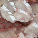 파도수산 앞 이미지