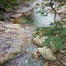 2025년 7월 전남·구례 지리산 피아골 정기산행(제211차) 안내 이미지