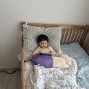 천사온누리약국 | 20260415 월요일 (D+803)