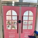 멍꾸러기 이미지