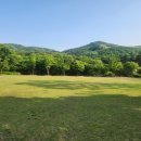 용인자연휴양림 광장 이미지