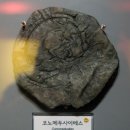 하식도 Daum카페