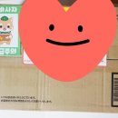 시바직구 이미지