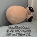 제트앤오 | 강원도 고성 숙소 : 코코앤루루팬션 : 스파 뷰 팬션