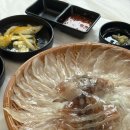 (주) 이마트 속초점 | [속초 오징어회 맛집]동영호횟집에서 즐긴 오징어회와 오징어통찜 후기