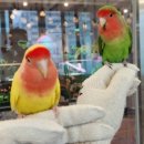 죽림주얼리 이미지