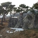 원지농원 이미지