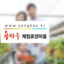 용바우식당 이미지