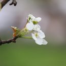 정이농장 이미지