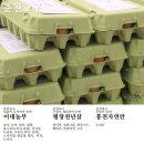 평창천년삼 이미지