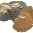 동학산2길 이미지