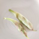 꼬투리걸 이미지